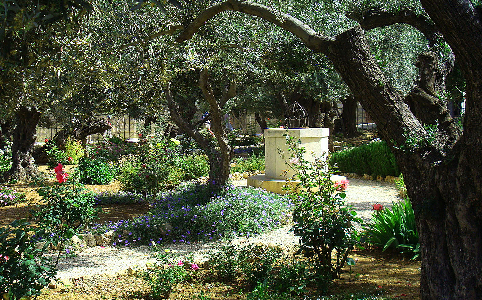 Garden of Gethsemane